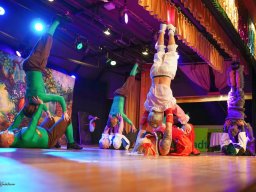 prunksitzung auerbach-20